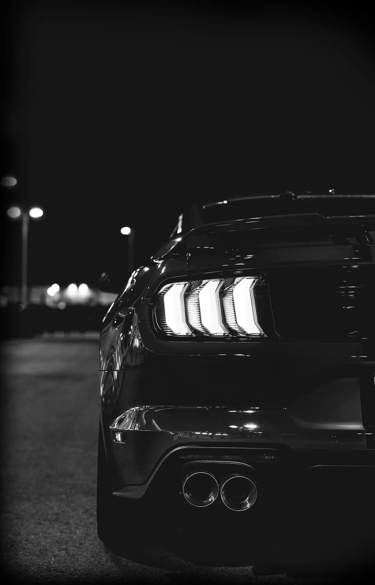  black and white Ford Mustang tail light from the rear